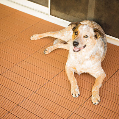 FlooringInc Helios Deck Tiles