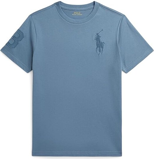 Polo Ralph Lauren Kids Big Pony Cotton Jersey T-Shirts (Big Kid) Boy's T Shirt Camp Blue : XL (18-20 Big Kid)