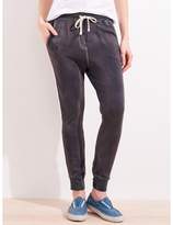 Thumbnail for your product : Sundry Side Tape Sweatpant