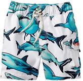 Thumbnail for your product : Gap Shark swim trunks