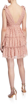 Bardot Roxie Sleeveless Tiered Lace Mini Dress