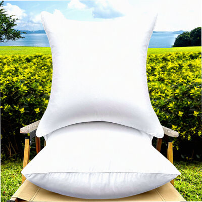 BRBCA Waterproof Outdoor Decorative Pillow Inserts Set - Premium Square Throw Cushion Inserts for Couch, Sofa - Indoor Sofa Pillows - Set of 2