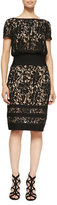 Thumbnail for your product : Tadashi Shoji Lace-Overlay Cocktail Dress W/ Banded Waist