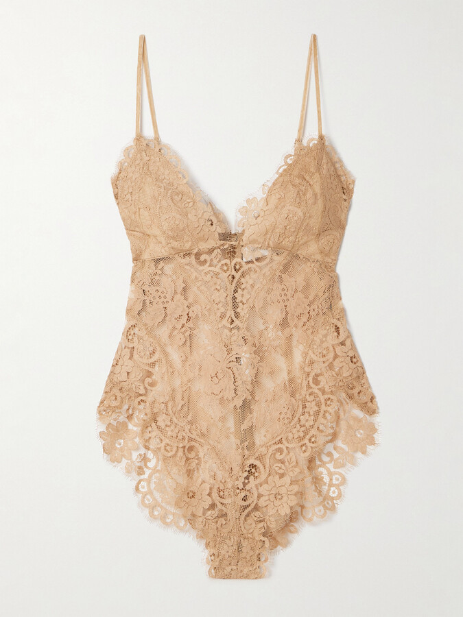 Zimmermann Illusion Velvet-trimmed Lace Bodysuit - Brown