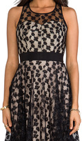 Thumbnail for your product : Milly Cheetah Lurex Lace Dress