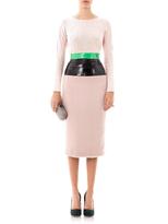Thumbnail for your product : Roksanda Ilincic Lamont contrast panel skirt