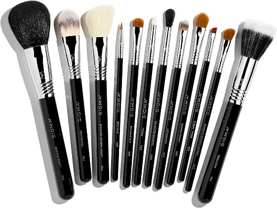 Sigma Beauty SigmaBeautyEssentialBrushSet
