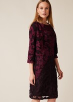 Thumbnail for your product : Phase Eight Aida Tapework Lace Dress