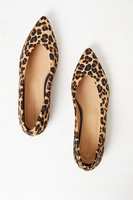leopard pointed toe flat