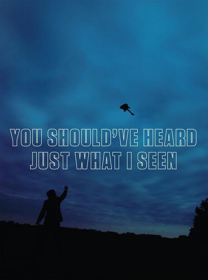 You Should've Heard Just What I Seen, (Paperback)
