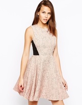 Thumbnail for your product : Hedonia Olive Skater Dress in Brocade - Nude