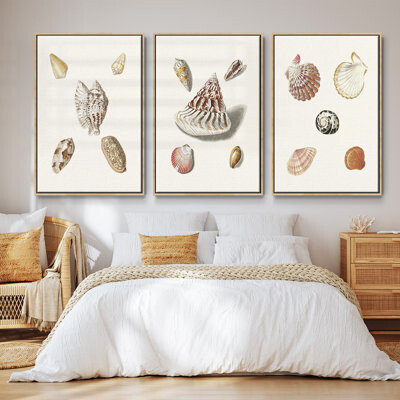 Wexford Home Pastel Knorr Shells VI Framed On Canvas 3 Pieces Set
