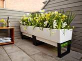 Thumbnail for your product : Glowpear Urban Garden Self Watering Planter