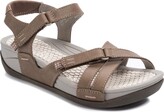 bear trap sandals