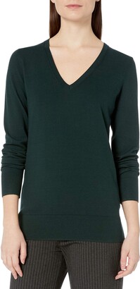 Lark & Ro Amazon Brand Women's Premium Viscose Blend Long Sleeve V-Neck Sweater