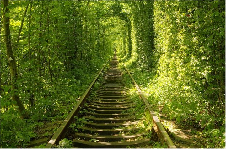 Yosemite Home Decor Landscapes and Views "Tunnel Of Love" by Unknown Artist Tempered Glass Wall Art