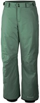 Thumbnail for your product : Columbia Bugaboo II Pants - Insulated (For Men)