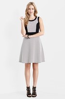 Thumbnail for your product : Karen Kane Contrast Side Stripe Fit & Flare Dress