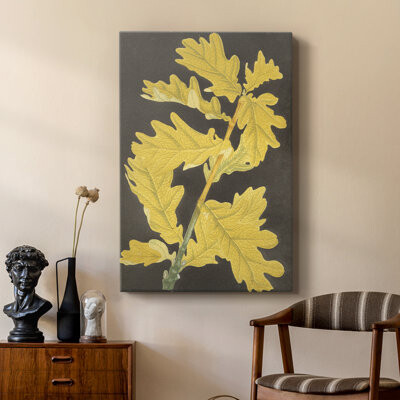 Darby Home Co Vintage Floral Print CCXLVI -Custom Wrapped Gallery Cavas