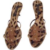 Brown Exotic Leathers Sandals 