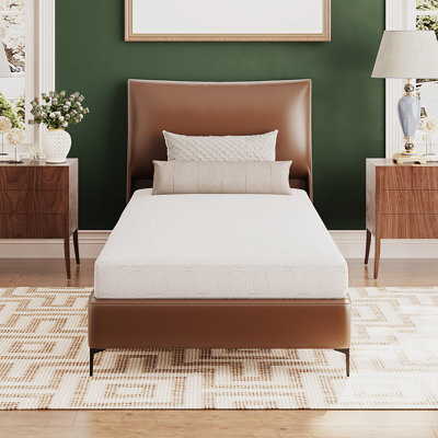 Alwyn Home Twin Mattress In A Box, 6 Inch Mattresses For Kids Bed Single Size Daybed Individual Bunk, Memory Foam Medium Firm