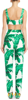 Thumbnail for your product : Dolce & Gabbana Palm Leaf Printed Bra Top