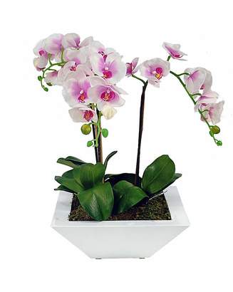 Fashion World Artificial Plant Potted Orchid