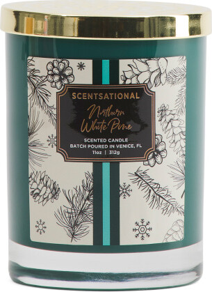 TJMAXX 11Oz Northern Pine Candle