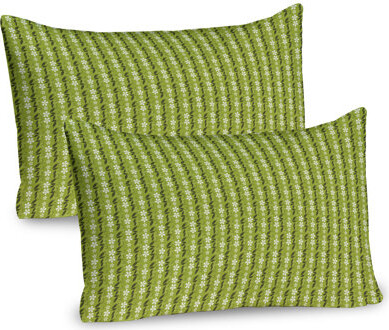 Ambesonne Nature Art Pillow Sham 2 Pack Growth Season Leaves 134127