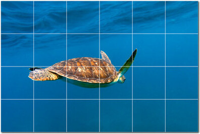 Picture-Tiles.com Turtle Photo 6 x 6