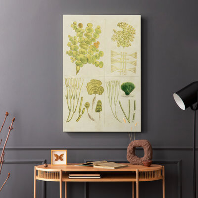 Rosalind Wheeler Vintage Sea Grass IV -Gallery Wrapped Cavas