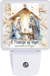 Dexsa A Promise Of Hope Nightlight - Let Your Light Shine LED Inspirational Night Light