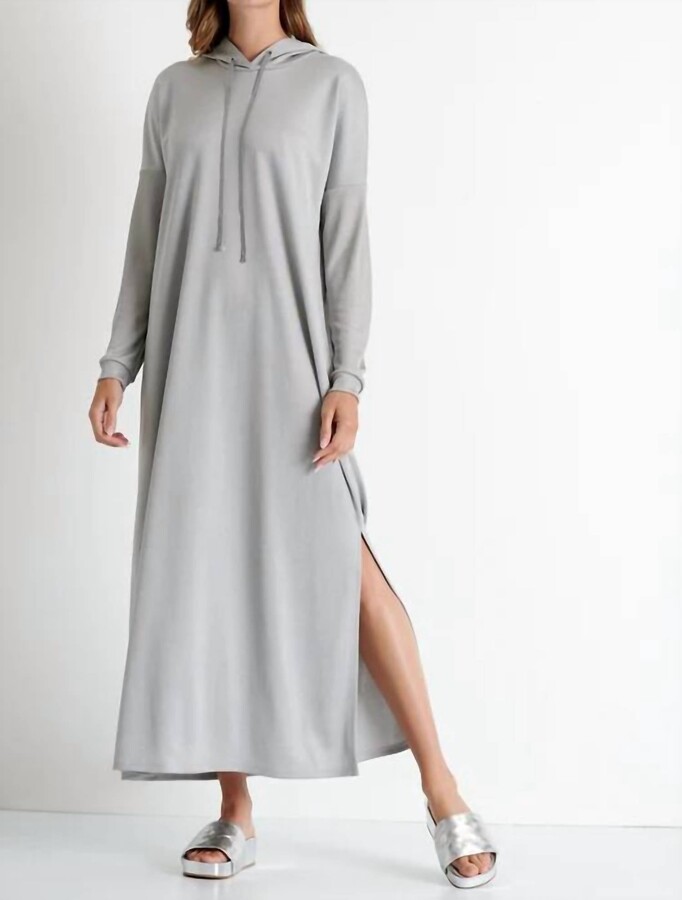 Shan Isabela Long Hooded Dress In Silver