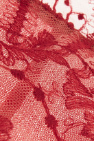 Thumbnail for your product : I.D. Sarrieri La Naissance D'aphrodite Embroidered Tulle Briefs - Claret