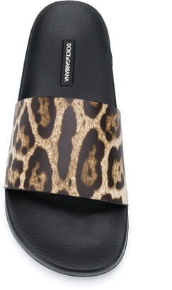 Dolce & Gabbana Leopard Print Slides