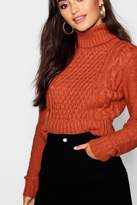 Thumbnail for your product : boohoo Petite Roll Neck Cable Knit Crop Sweater