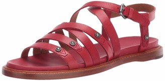 frye strappy sandals