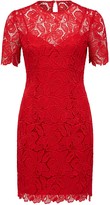 Thumbnail for your product : Ever New Tayla Lace Mini Dress