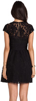 Thumbnail for your product : Dolce Vita Winsor Organza Lace Dress