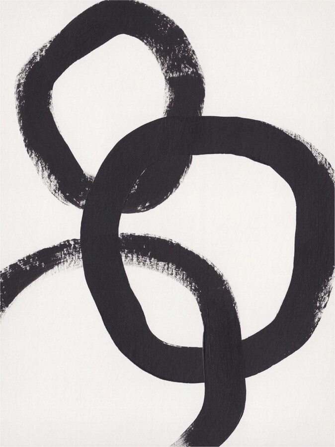 Trademark Fine Art Alisa Galitsyna Acrylic Circles Canvas Wall Art