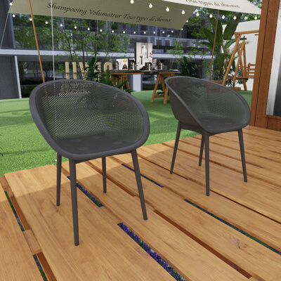 Junmei Indoor/Outdoor Lounge Chair Accent Chair (Set Of 2)
