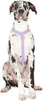 Thumbnail for your product : See Scout Sleep Purple The Scot Large Original Harness
