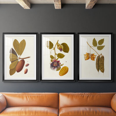 Hokku Designs Exotic Botanicals IV -Custom Framed Premium Print W Matt - 3 Pieces