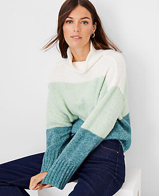Ann Taylor Colorblock Roll Neck Sweater - ShopStyle