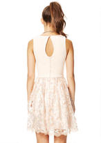 Thumbnail for your product : Delia's Scuba Top Lace Dress