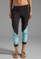 Thumbnail for your product : Pencey Combo Fleece Pant