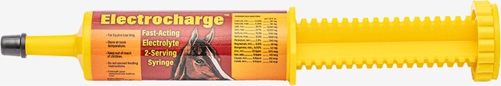 Finish Line Fast-Acting Electrocharge Electrolyte Honey Flavor Paste Horse Supplement, 2-oz syringe