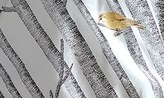 Thumbnail for your product : Blissliving Home 'Birch' Cotton Sateen Duvet Cover & Shams (Online Only)