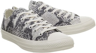 Converse All Star Low Trainers Egret Snakeprint Black Animal Exclusive