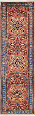 Anadol Coral Rug 2'8 x 9'5